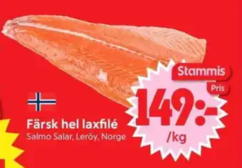 Nya Pulsen Färsk hel laxfilé erbjuda