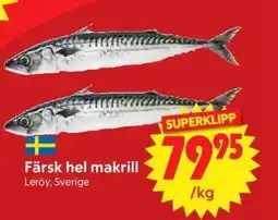 Nya Pulsen Färsk hel makrill erbjuda