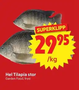 Nya Pulsen Hel tilapia stor erbjuda