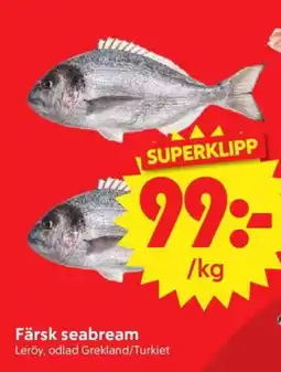 Nya Pulsen Färsk seabream erbjuda