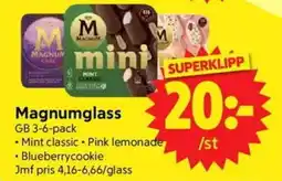 Nya Pulsen GB Magnumglass erbjuda