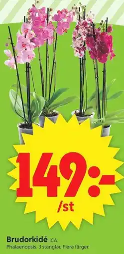 ICA Supermarket Brudorkidé erbjuda