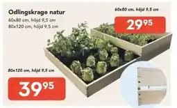 Bo Ohlsson Odlingskrage natur erbjuda