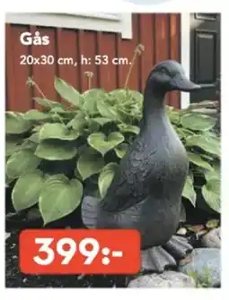 Bo Ohlsson Gås erbjuda