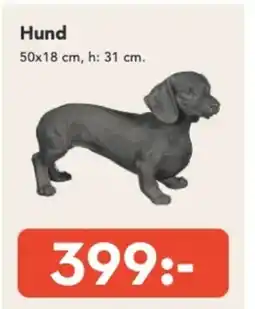 Bo Ohlsson Hund erbjuda