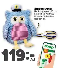 Stora Coop Studentuggla erbjuda