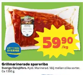 Grillmarinerade spareribs