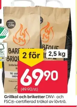 Rusta Grillkol och briketter erbjuda