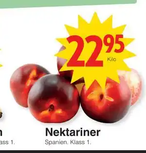 Nektariner