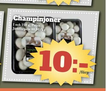Champinjoner