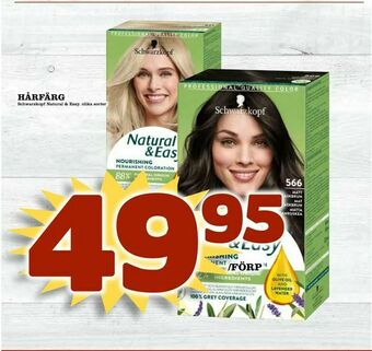 Din Mat Hårfärg erbjuda