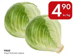 Snabbgross Vitkål erbjuda