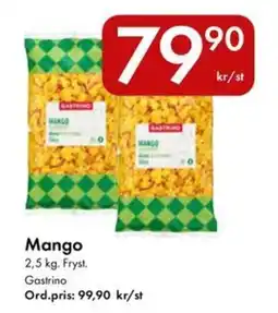 Snabbgross GASTRINO Mango erbjuda