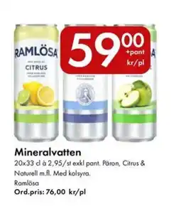 Snabbgross RAMLÖSA Mineralvatten erbjuda
