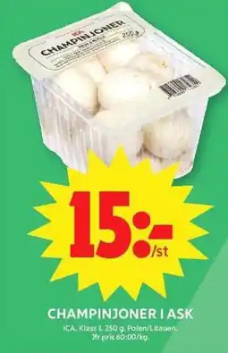 ICA Maxi ICA Champinjoner i ask erbjuda