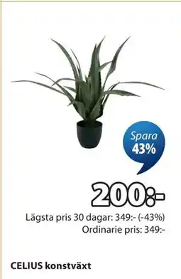 JYSK CELIUS konstväxt erbjuda