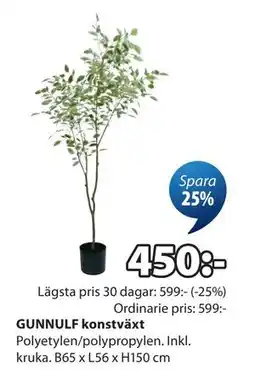 JYSK GUNNULF konstväxt erbjuda