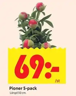 ICA Kvantum Pioner 5-pack erbjuda