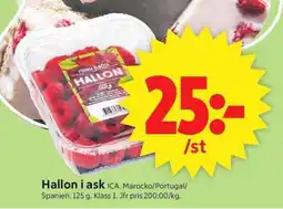 ICA Supermarket ICA Hallon i ask erbjuda