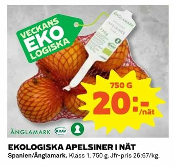 Coop Daglivs Ekologiska apelsiner i nät erbjuda