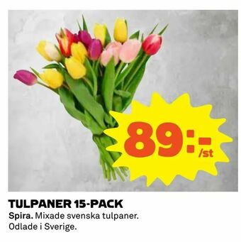 Coop Daglivs Tulpaner 15-pack erbjuda