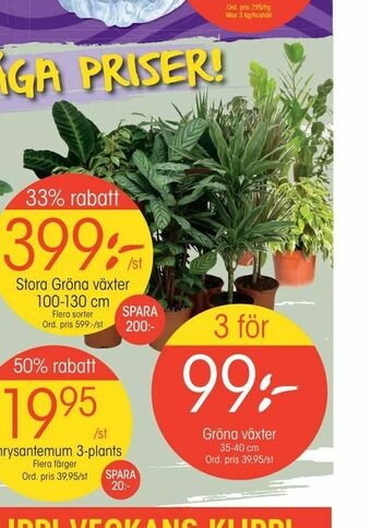 EKO Gröna växter erbjuda