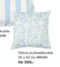 Hemtex Felicia prydnadskudde erbjuda