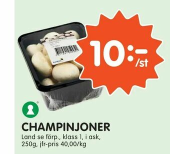 Tempo Champinjoner erbjuda