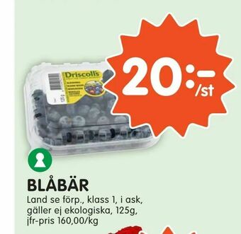 Tempo Blåbär erbjuda