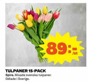 Coop Tulpaner 15-pack erbjuda