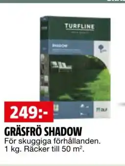 Bauhaus Gräsfrö shadow erbjuda