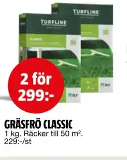Bauhaus Gräsfrö classic erbjuda
