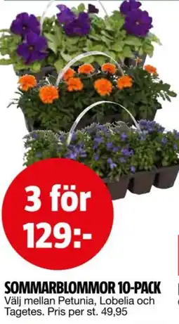 Bauhaus Sommarblommor 10-pack erbjuda