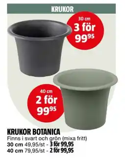 Bauhaus Krukor botanica erbjuda