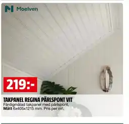 Bauhaus Takpanel Regina pärlspont vit erbjuda