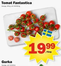 Pekås Tomat Fantastica erbjuda