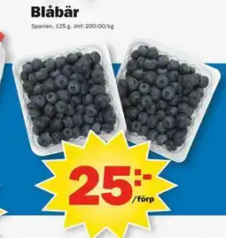 Pekås Blåbär erbjuda