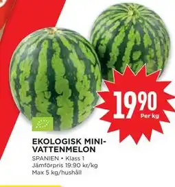 Willys EKOLOGISK MINIVATTENMELON erbjuda