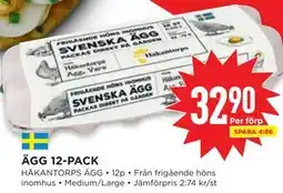 Willys ÄGG 12-PACK erbjuda