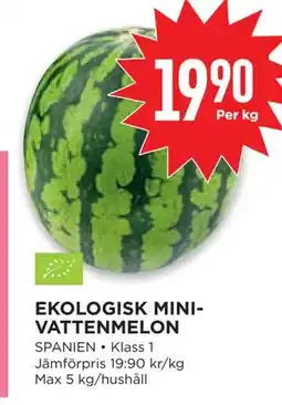 Willys EKOLOGISK MINIVATTENMELON erbjuda