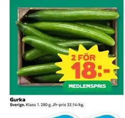 Coop Daglivs Gurka, Medlemspris erbjuda