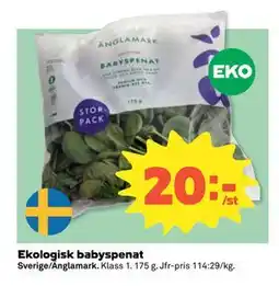 Coop Daglivs Ekologisk babyspenat erbjuda