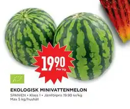 Willys Hemma EKOLOGISK MINIVATTENMELON erbjuda