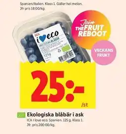 ICA Kvantum Ekologiska blåbär i ask erbjuda