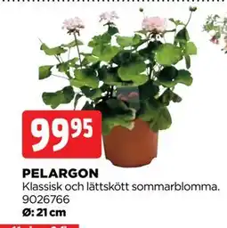 Jem&Fix PELARGON erbjuda