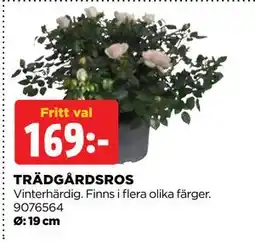 Jem&Fix TRÄDGÅRDSROS erbjuda