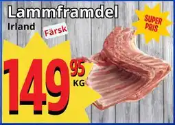 Supergrossen Lammframdel erbjuda