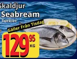 Supergrossen Seabream erbjuda