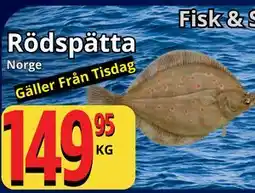 Supergrossen Rödspätta erbjuda