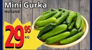 Supergrossen Mini Gurka erbjuda